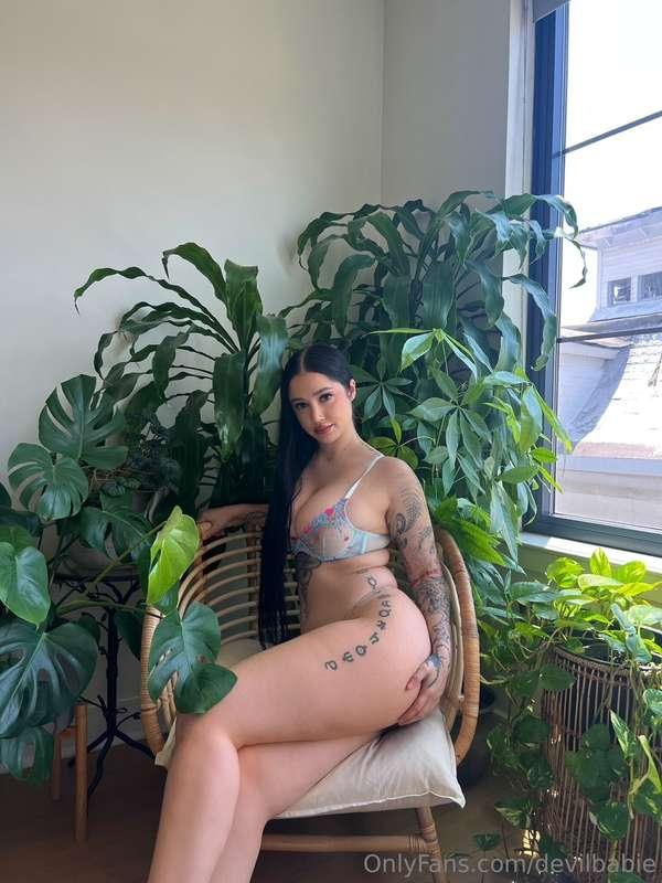 🌿🍀🌱🍃