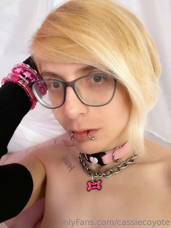 cassiecoyote image #4