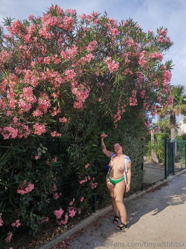 Pretty flowers and some close up BOOOBS 😜😜