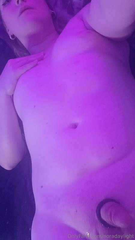 noradaylight image #25