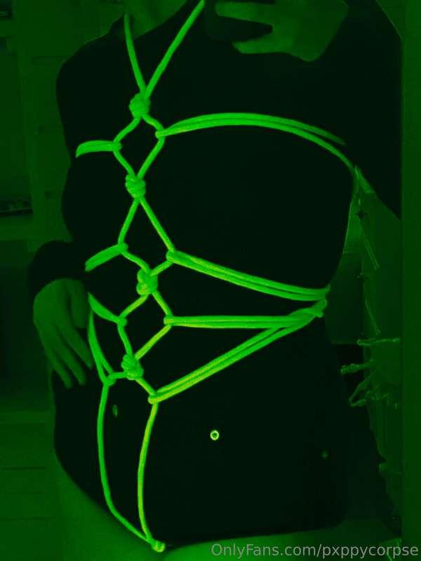 pxppycorpse image #2