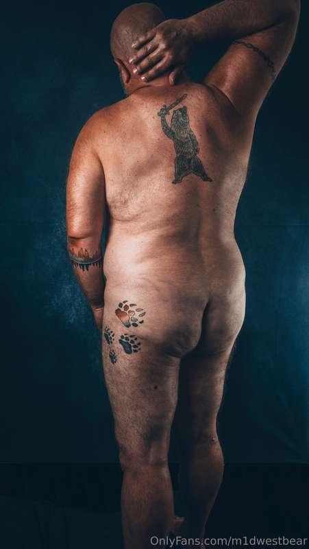 m1dwestbear image #0