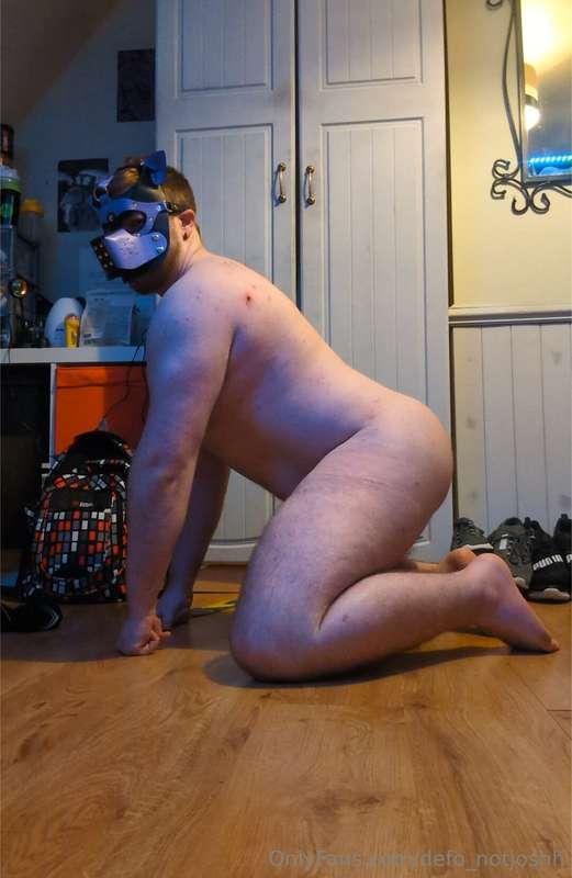 Who's a good boy (I am)