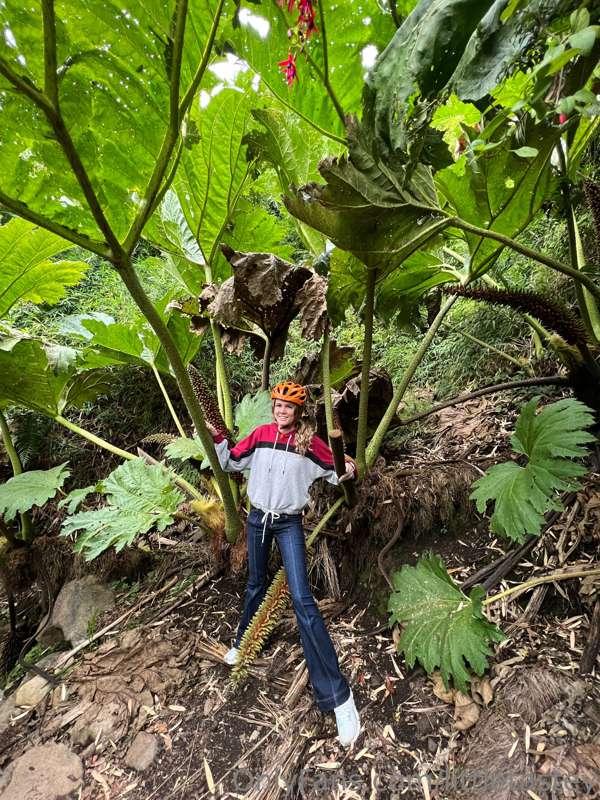 Look how big those leaves were 😄 it was pretty hot in the bo..
