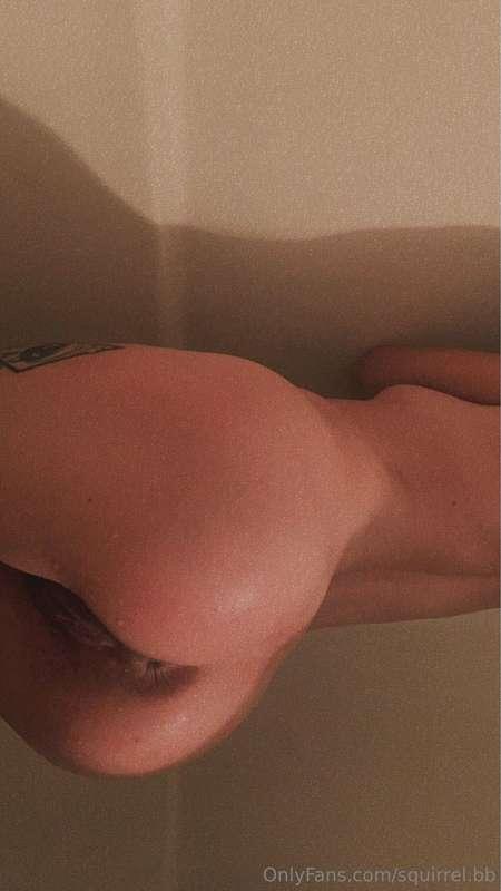 squirrel.bb image #7