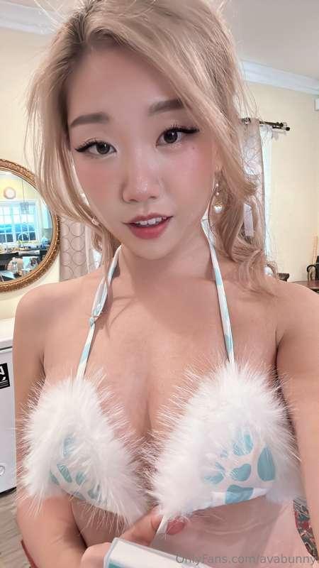 avabunny main image