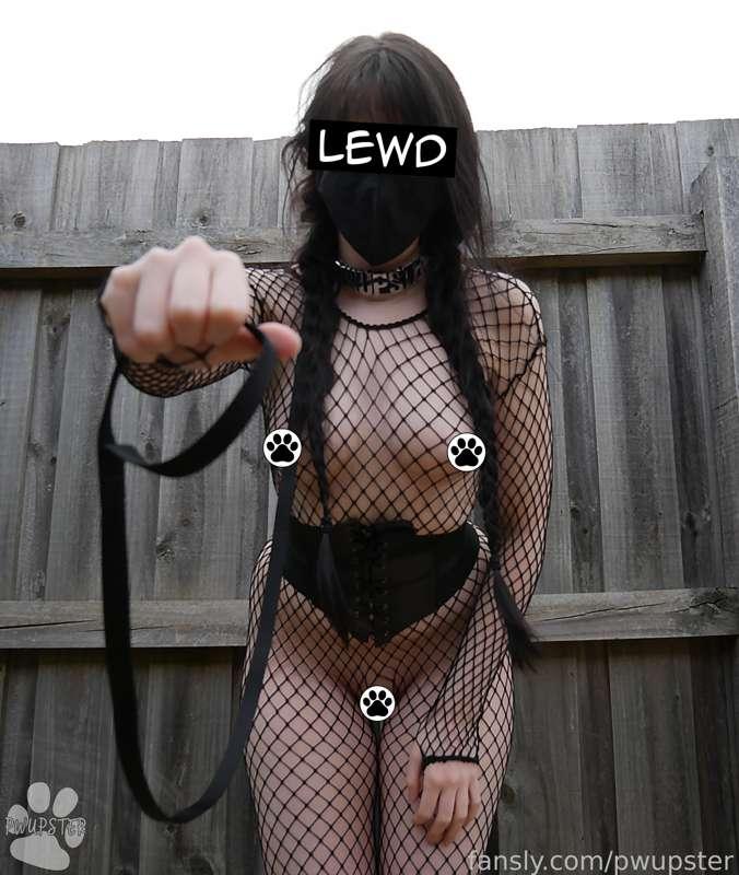 pwupster image #1