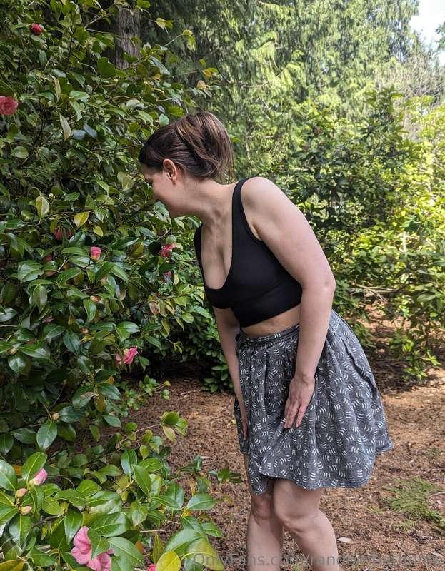 Found some Camellias blooming, they are so pretty! I hope yo..