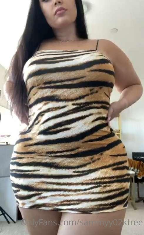 🐅 Meow