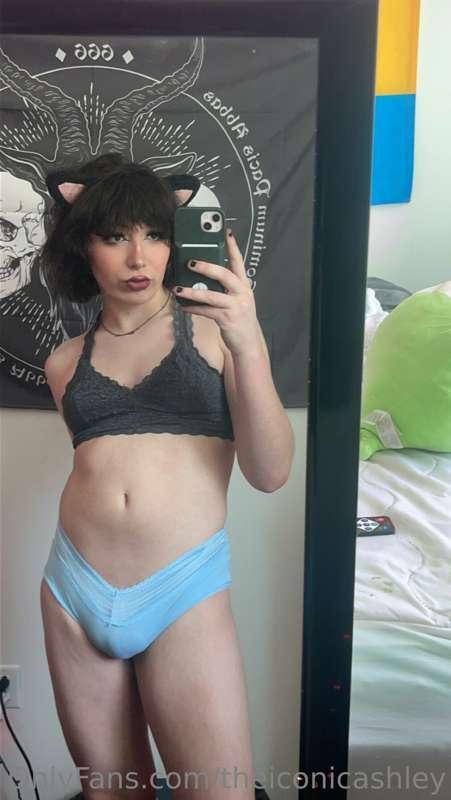 theiconicashley image #0