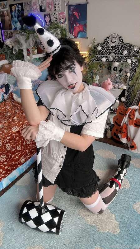 indigowhite image #80