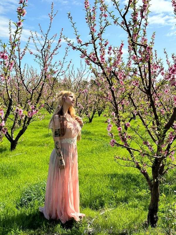 🌸🌸🌸BTS from new cherry blossom pics coming soon loves 🌸🌸🌸