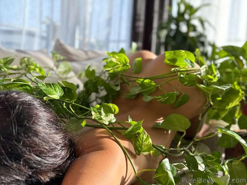 purepleasure image #1