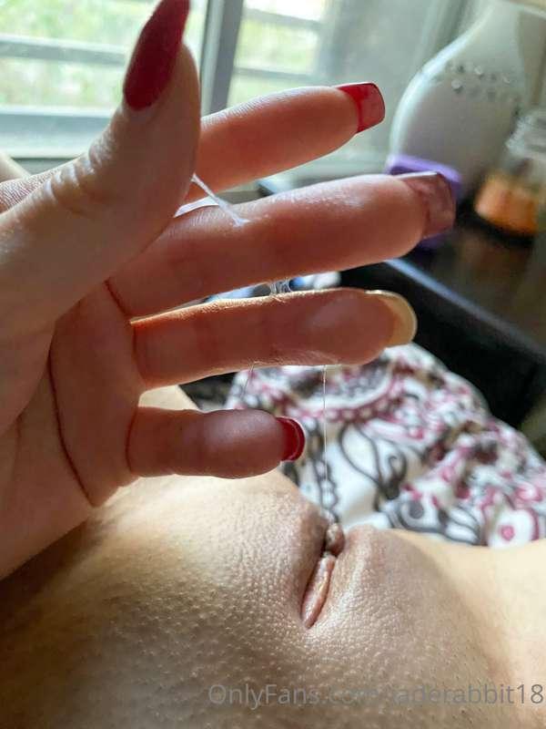 jaderabbit18 image #1