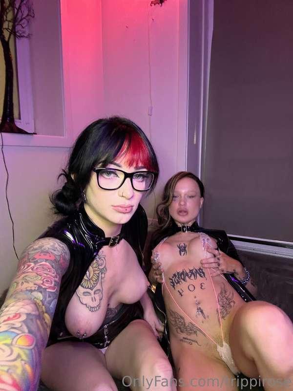 trippirose image #35
