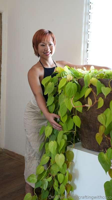 Check out this huuuuge Pothos! 🌱🌱🌱I know Pothos plants are k..