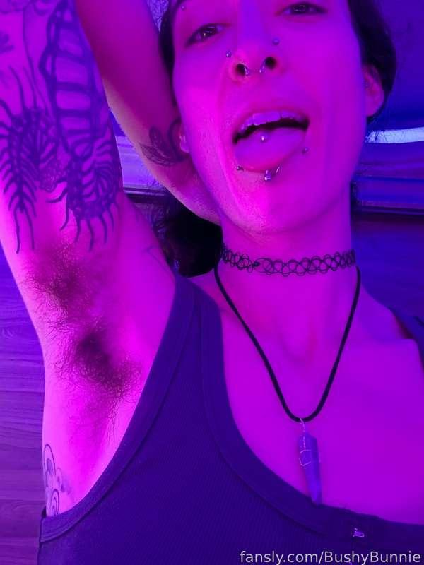 bushybunnie image #1