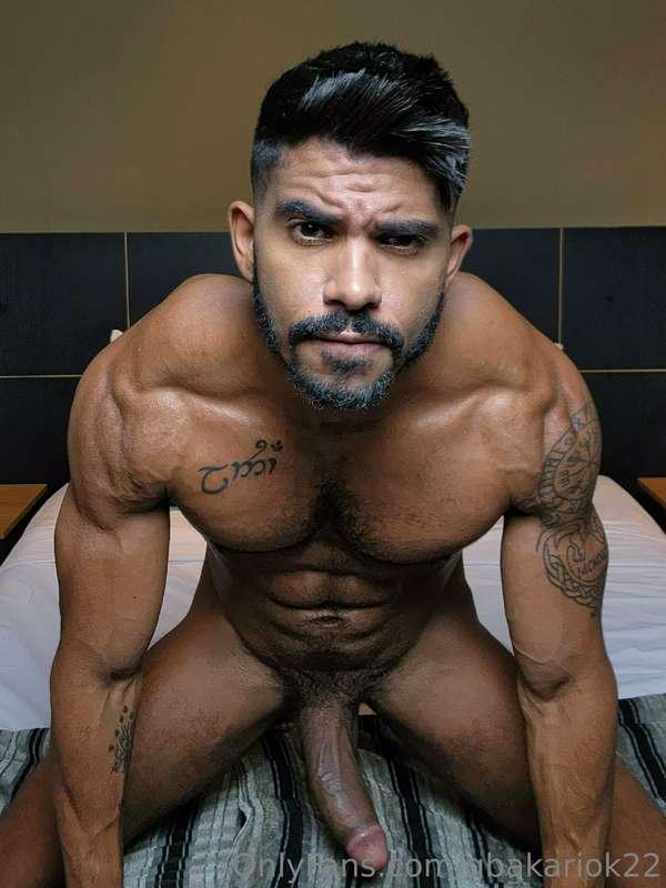 like a predator