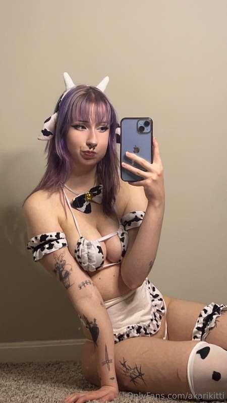 akarikitti image #2