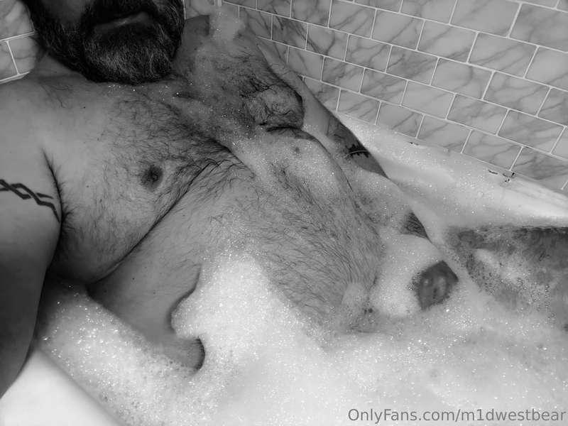 m1dwestbear image #0