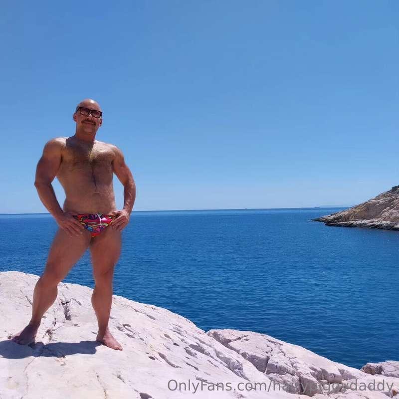 hairypiggydaddy image #0