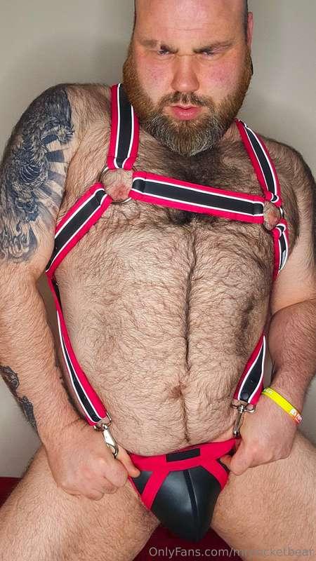 mrpocketbear image #0