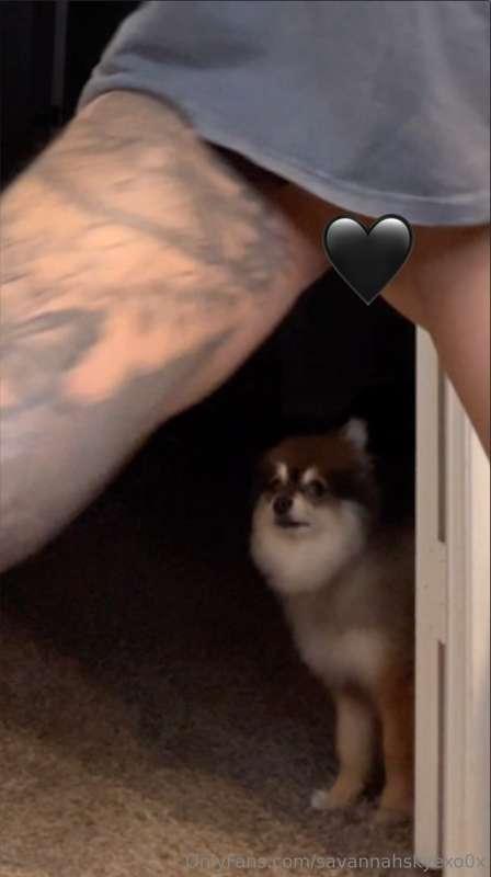 He's like "dude stop shaking your ass and come feed me" 😂