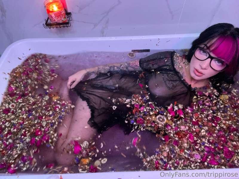 trippirose image #22