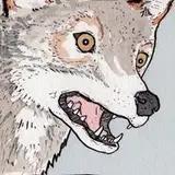 falseknees