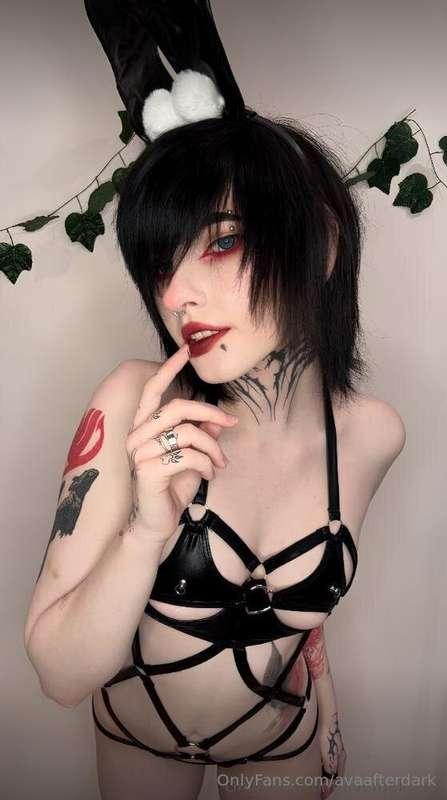 FREE SUBSCRIPTION❤️ Totally naughty @avemelissaa with a damn..