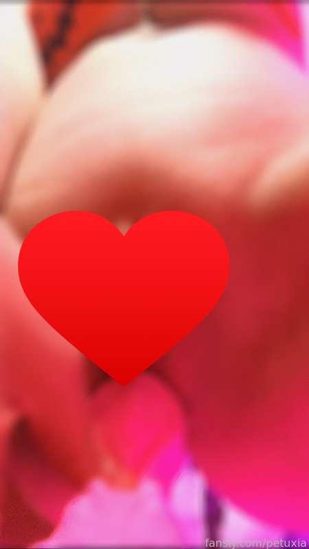 petuxia image #1