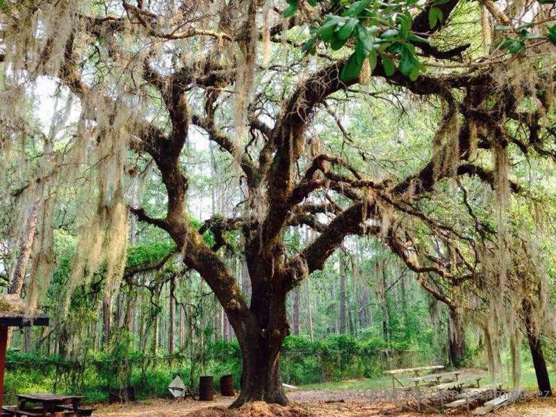 Nature is where we belong! It's so unnatural for us to be in..