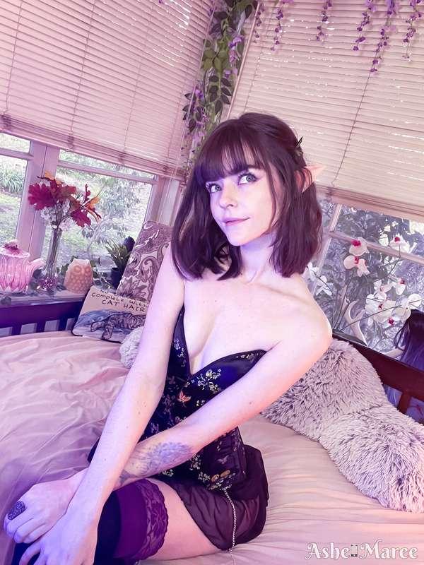 ashemaree image #1