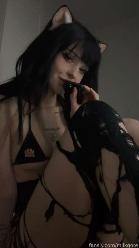 milkgore image #2