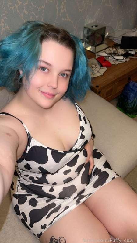 puffy_cow_ image #1