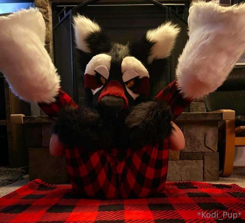 kodi_pup image #3