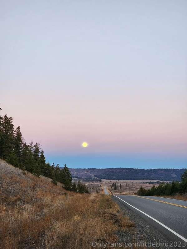 littlebird2023 image #1
