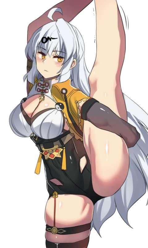 Flexible Shifu