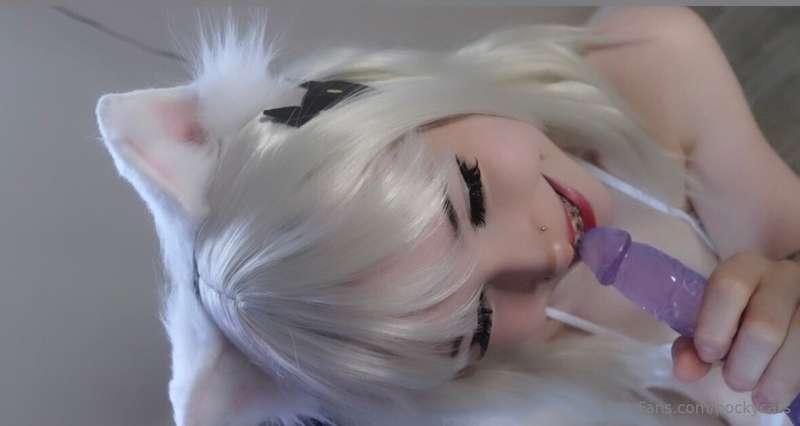 pockycats image #0
