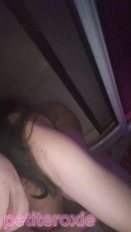 petiteroxie image #1