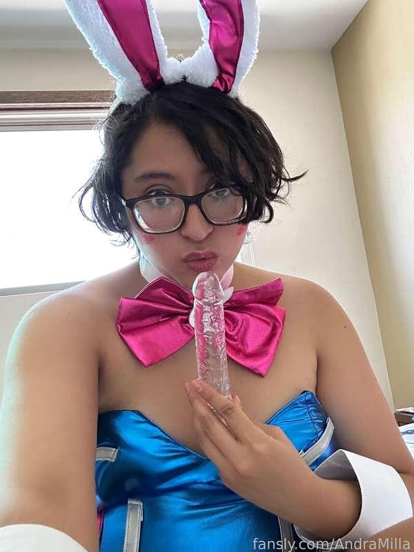 Bunny sucking 

