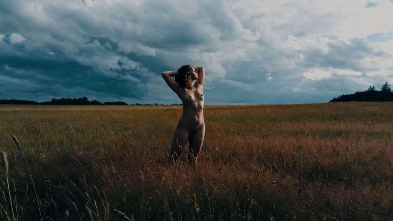 Viola - Grasslands :BTS