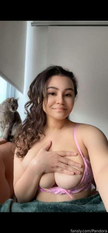 kitties &amp; titties

#fyp #pandoranyxie 