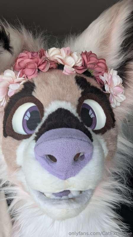 catexclusive image #0