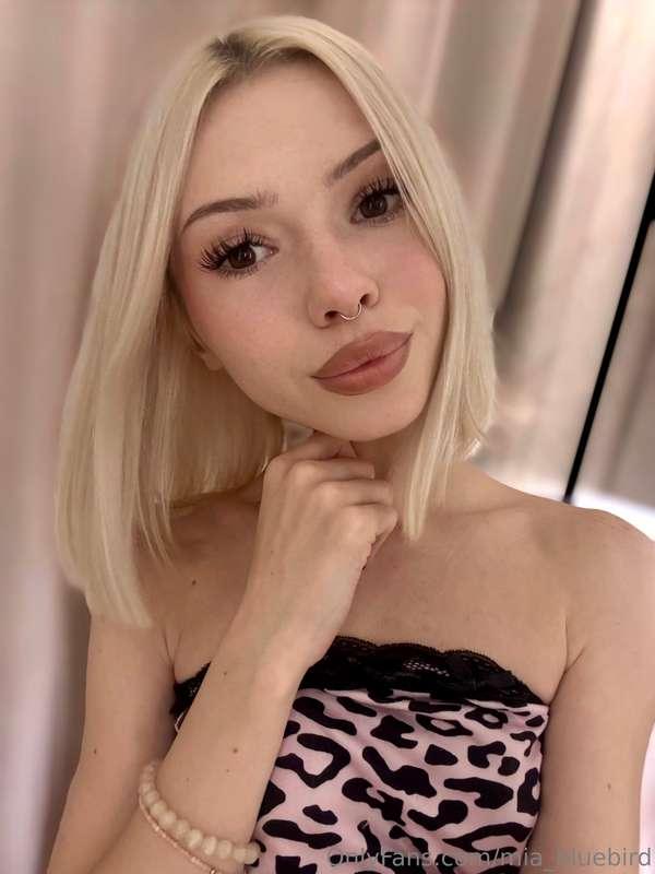 It seems like kitty cat has come into the room... wild, but ..