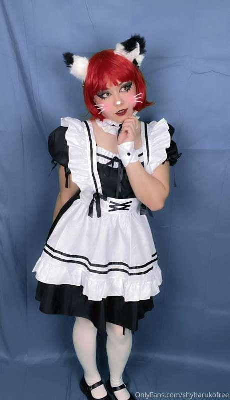 shyharukofree image #0