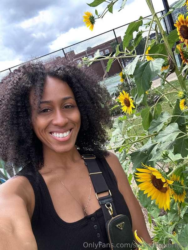 Sunflowers make everyday a better day 🌻