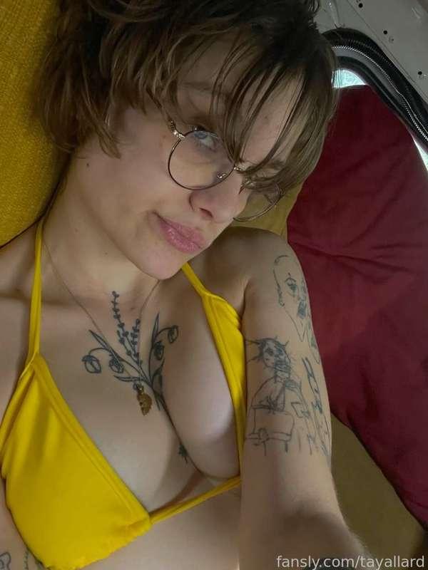 tayallard image #2