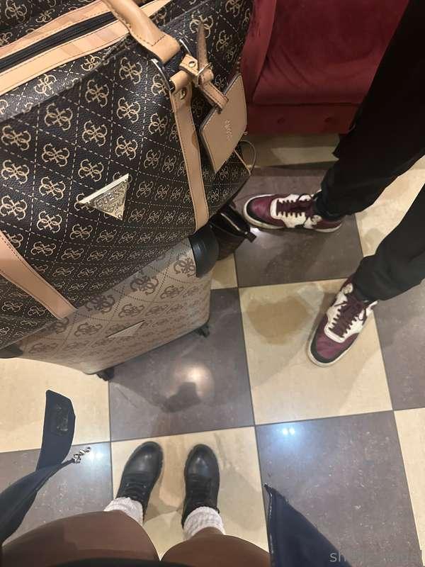 shellz_angel image #0