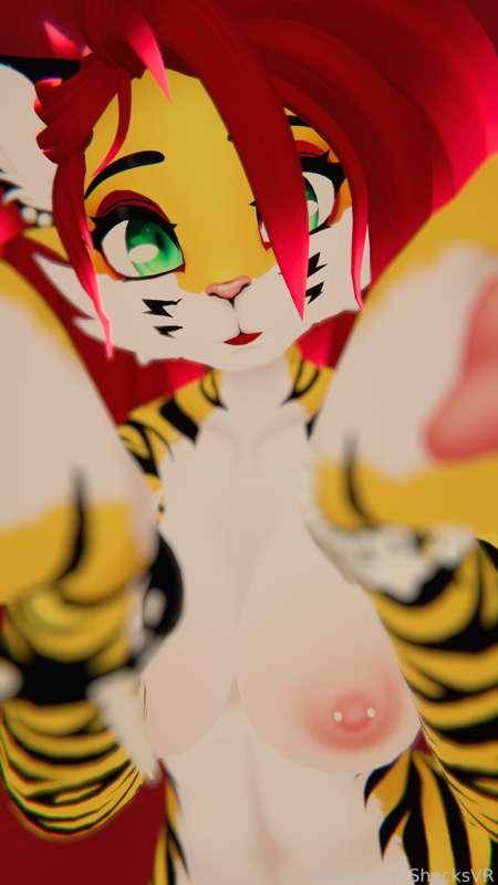 shocksvr image #11